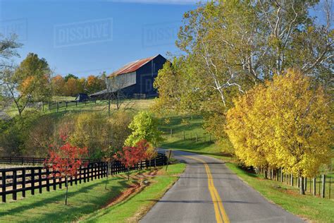  紅山路 (Red Hill Road) 充滿了鄉村哀愁與奔放的藍草節奏